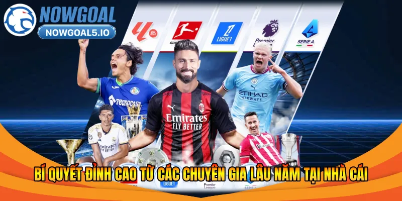 Giới thiệu đôi nét về cách nhà cái cho kèo 